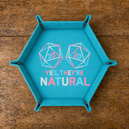 Natural 20 Critical Hit Pair - DICE TRAY
